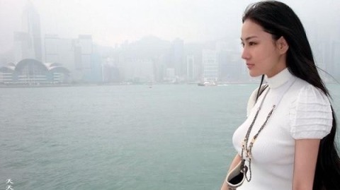 光影之间优雅绽放