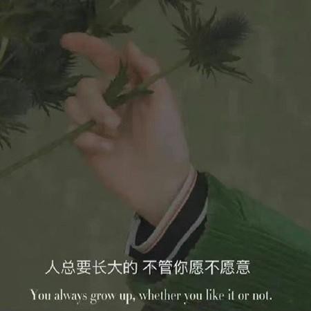 夜幕下的城市灯光，霓虹闪烁中映照出2022年孤独感伤的都市情感