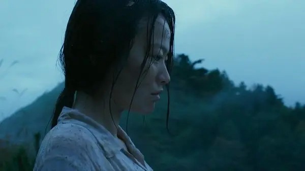 韩国电影《破墓》与《哭声》的影评口碑数据对比图表