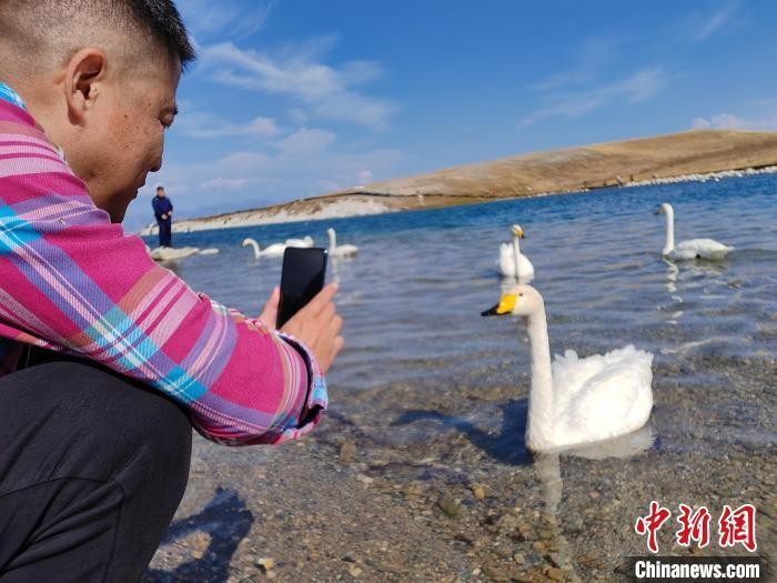 新疆赛里木湖一家四口同框的偶遇照片